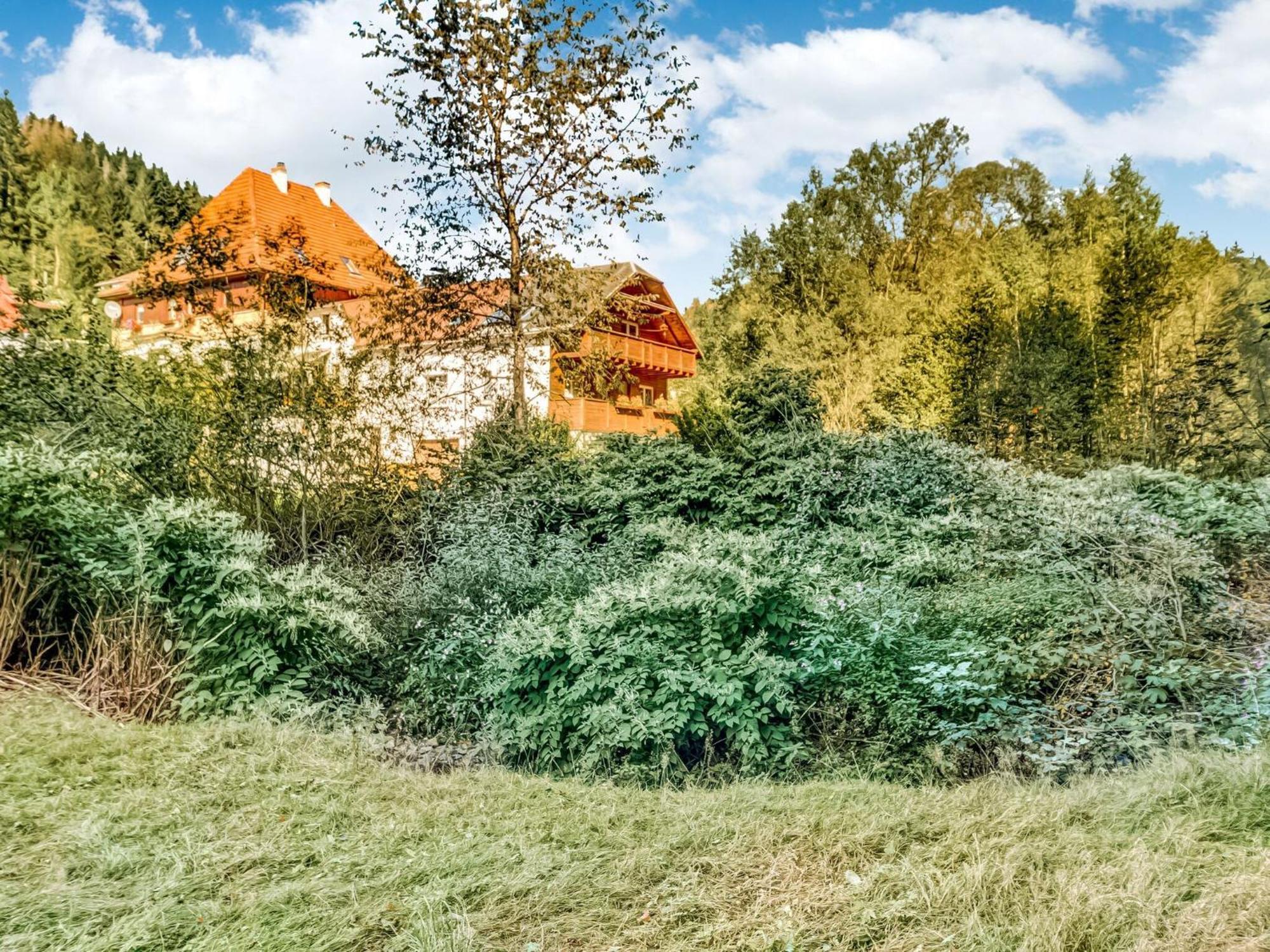 Apartment Thuringian Forest With Balcony Gießübel Εξωτερικό φωτογραφία